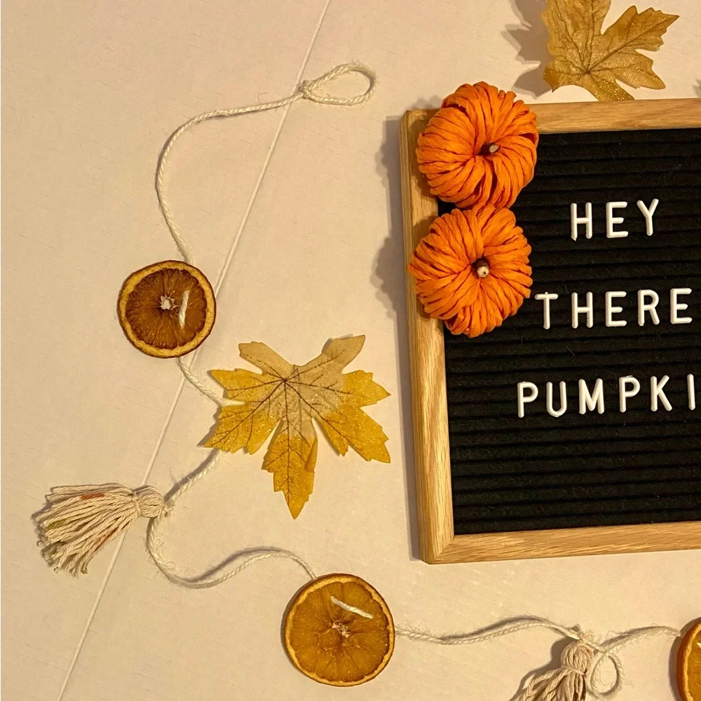 Handmade Dry Orange and Tassel Garland